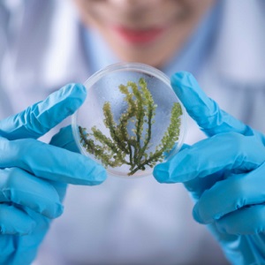 Ciclo de Encuentros Didáctica de las Ciencias. Pensar la ciencia a través de modelos científicos