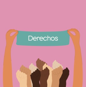 Seminario «Los derechos sexuales y reproductivos en la nueva Constitución: qué implica la redacción actual?»