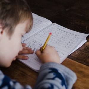 Seminario: Aprender a escribir y escribir para aprender a través del lenguaje