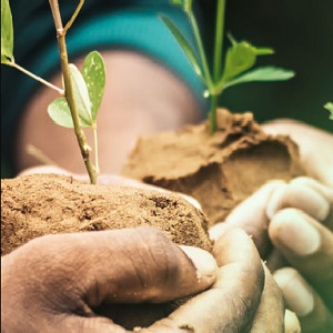 Seminario de «Educación Ambiental Integral: Experiencias y desafíos para el desarrollo de políticas públicas»